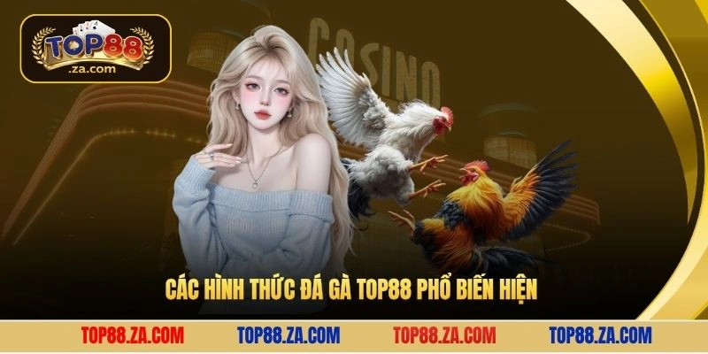 Các hình thức đá gà Top88 phổ biến hiện