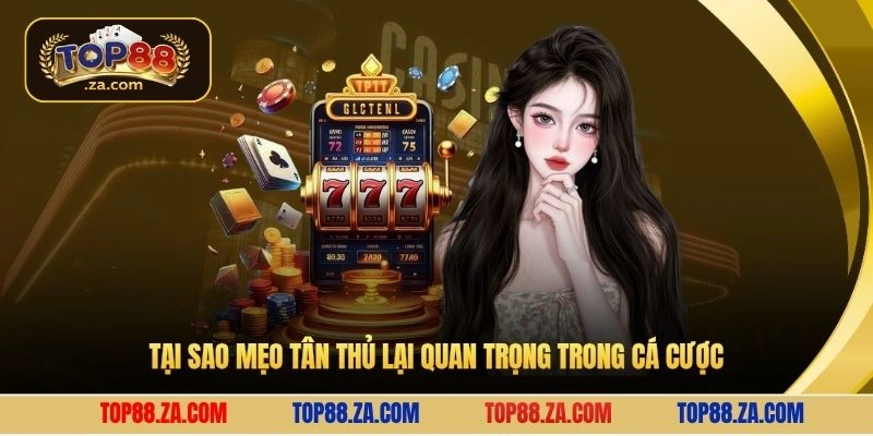 Tại sao mẹo tân thủ lại quan trọng trong cá cược